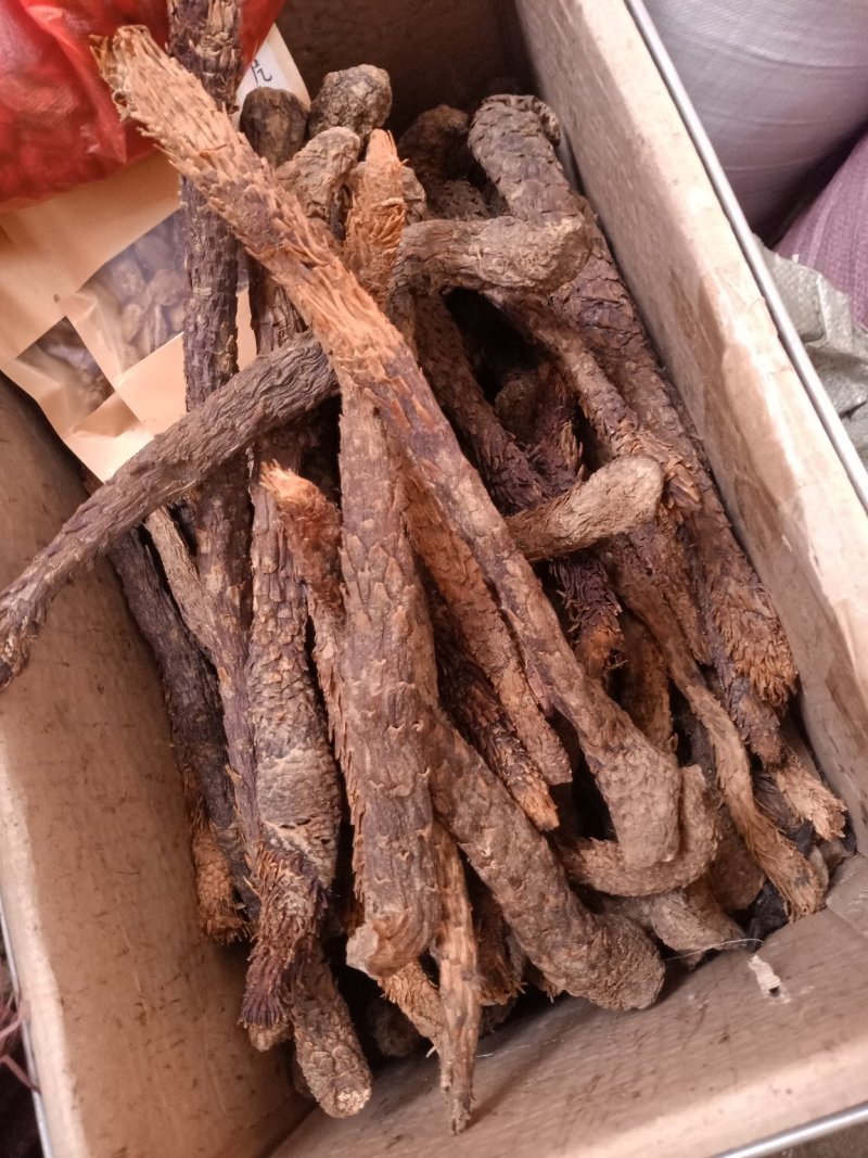 肉苁蓉新疆油苁蓉2020新货大量上市需要制的联系