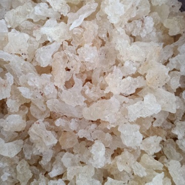 进口雪燕！大货批发！价格优，整件物流包邮！