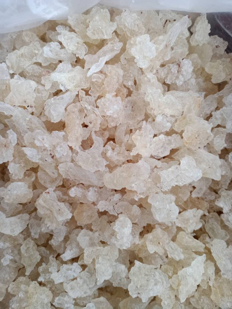 进口雪燕！大货批发！价格优，整件物流包邮！