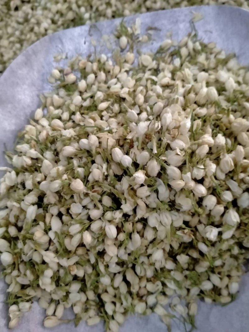 茉莉花！产地直销，规格齐全，价格优，整件包邮！