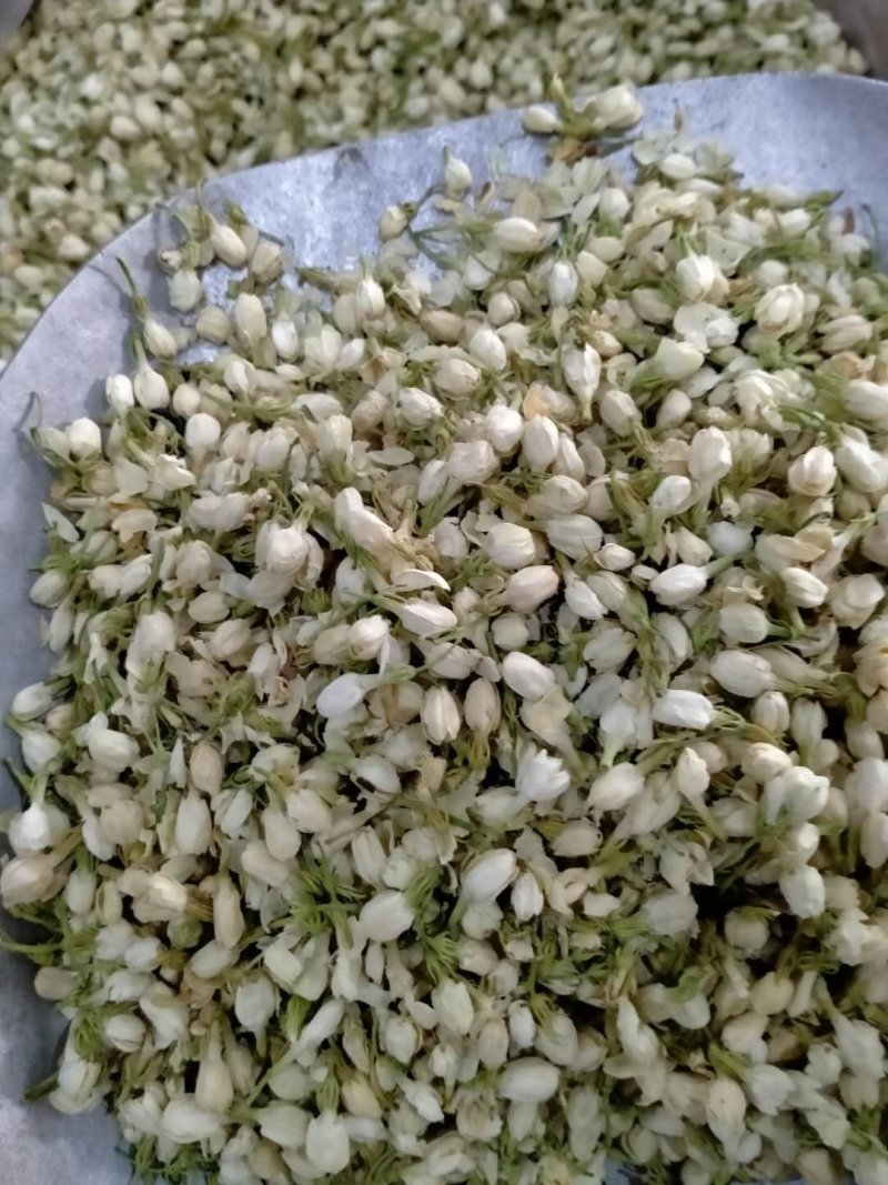 茉莉花！产地直销，规格齐全，价格优，整件包邮！