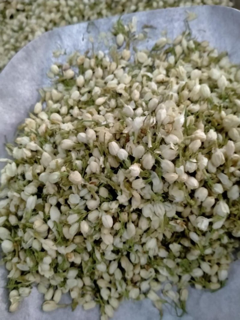 茉莉花！产地直销，规格齐全，价格优，整件包邮！