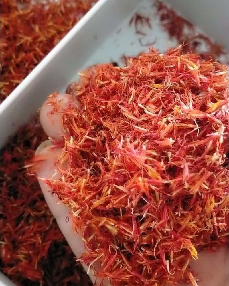 红花！产地直销，规格齐全！价格优，整件包邮！