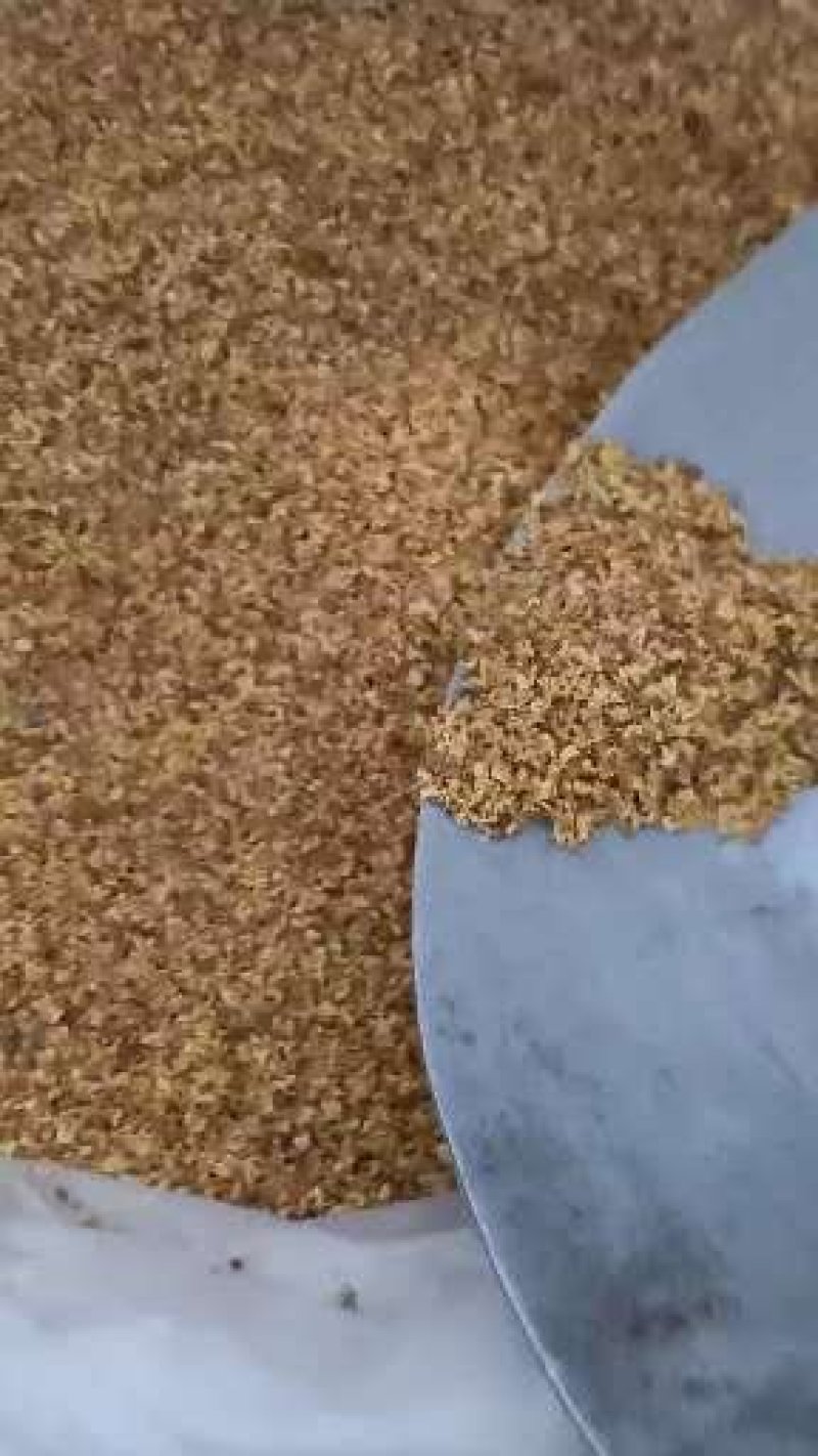 桂花产地直销，一手货源，价格优，整件包邮！