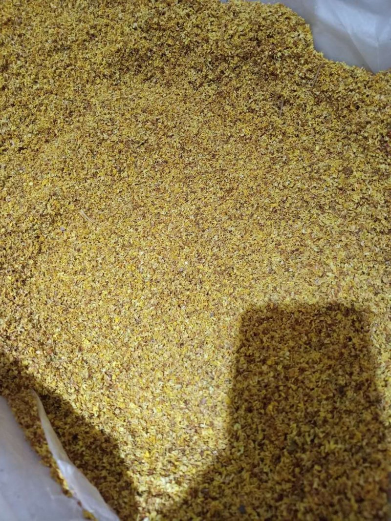 桂花产地直销，一手货源，价格优，整件包邮！