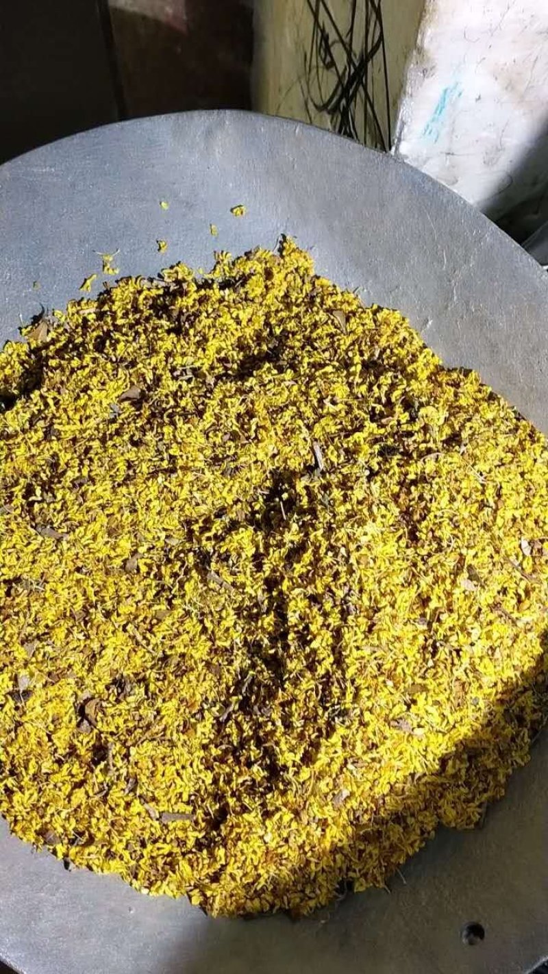 桂花产地直销，一手货源，价格优，整件包邮！