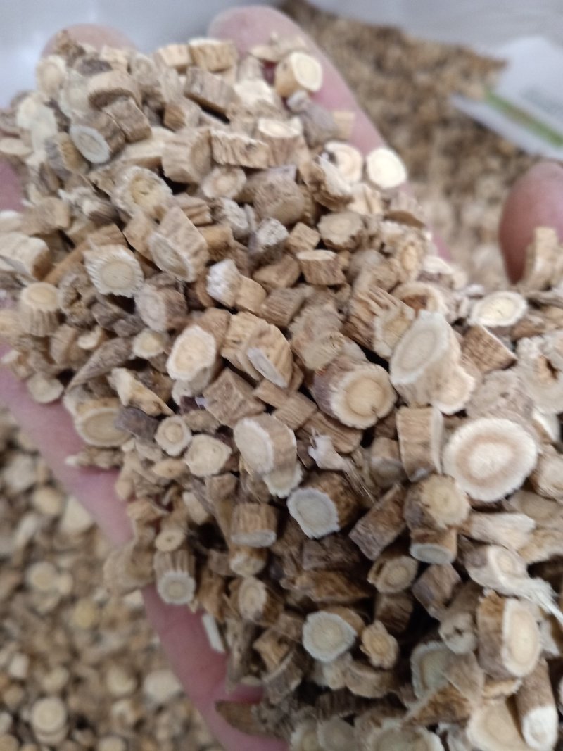 板兰根产地直发一手货源价格优！量大物流包邮！