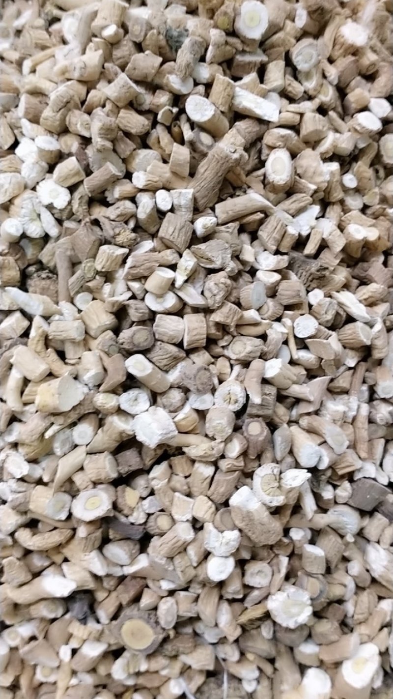 板兰根产地直发一手货源价格优！量大物流包邮！