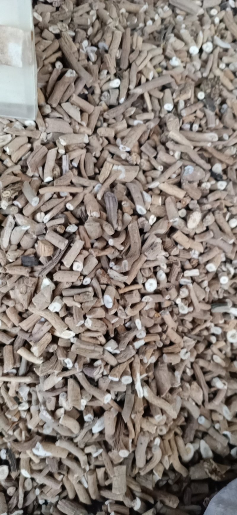 板兰根产地直发一手货源价格优！量大物流包邮！