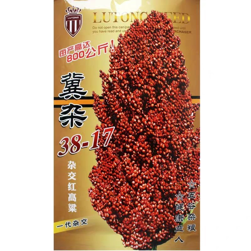 璐通小白人红高粱五谷杂粮高粱种子产量高杂粮种子