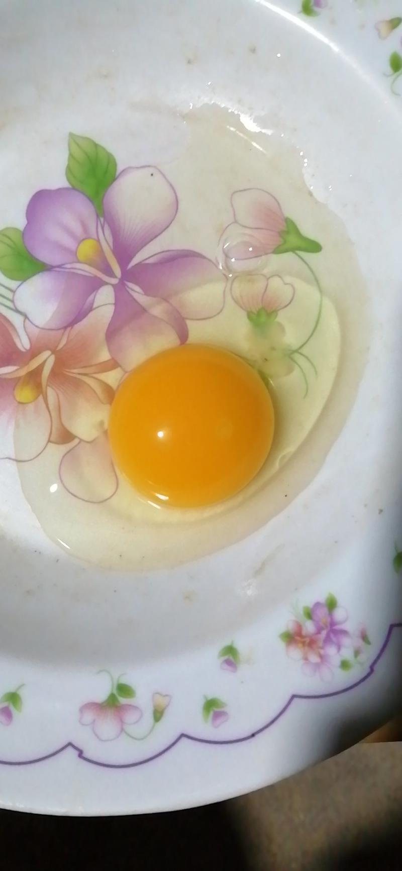土鸡蛋长寿之乡钟祥本地农家散养新鲜粉绿混装土鸡蛋。初生蛋