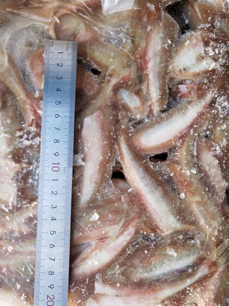 红娘鱼红头鱼两去烧烤鱼串原料火锅自助食材规格齐全
