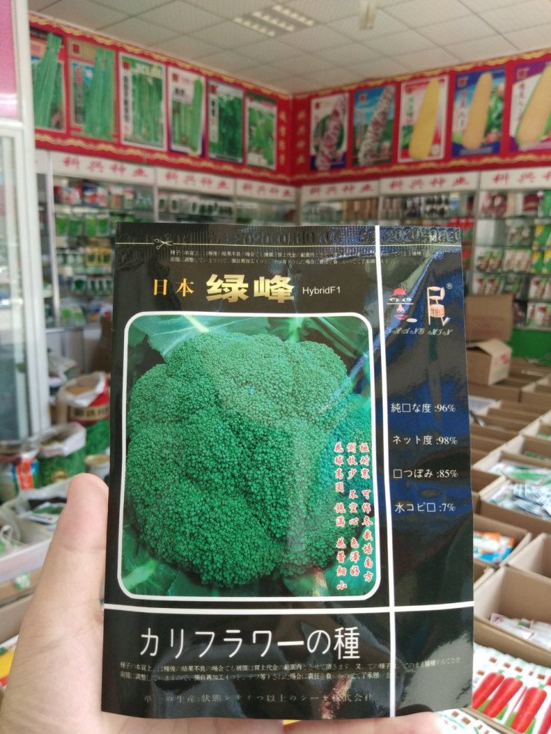 西兰花种子花蕾细侧枝少耐寒耐发黄耐阴雨天气