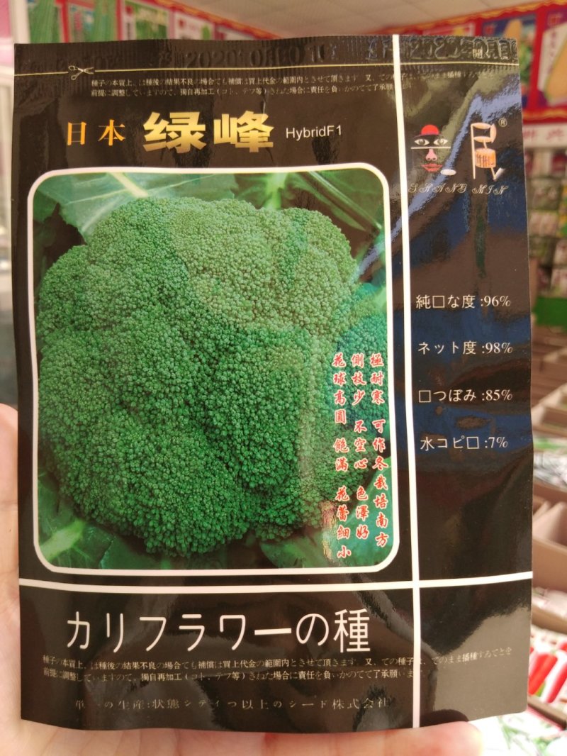 西兰花种子花蕾细侧枝少耐寒耐发黄耐阴雨天气