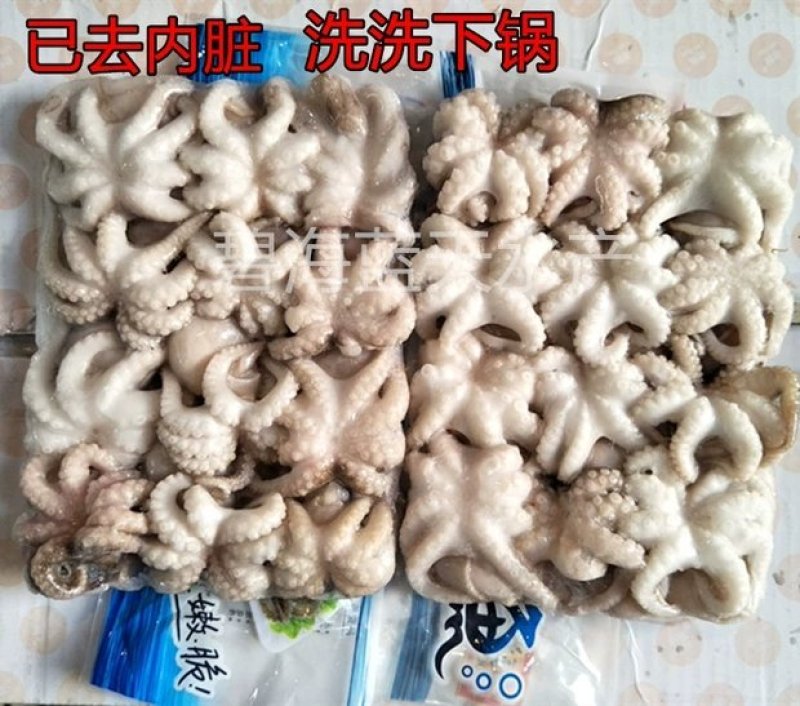 深海新鲜小章鱼短腿八爪鱼迷你小八抓鱼冷冻海鲜零食火锅食材