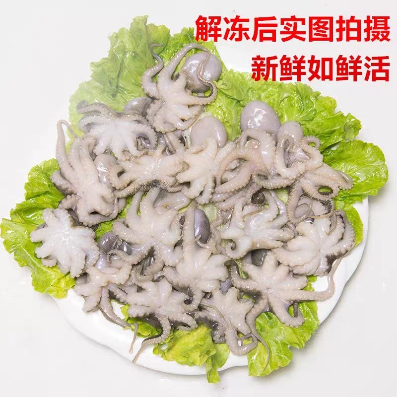 深海新鲜小章鱼短腿八爪鱼迷你小八抓鱼冷冻海鲜零食火锅食材
