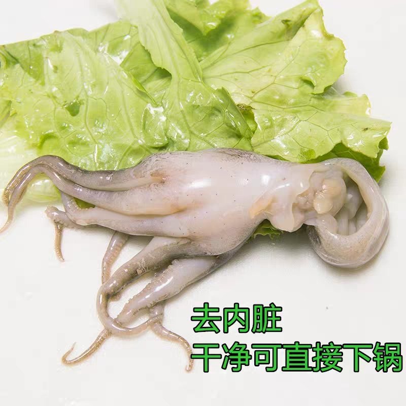 深海新鲜小章鱼短腿八爪鱼迷你小八抓鱼冷冻海鲜零食火锅食材