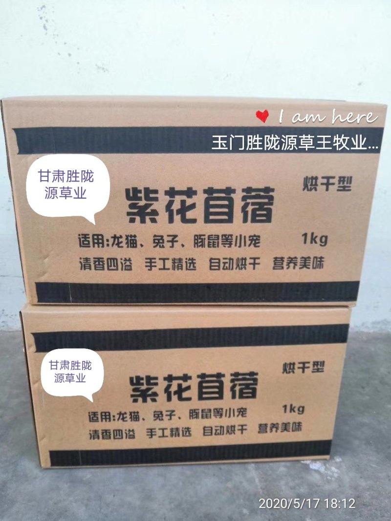苜蓿草紫花苜蓿草批发加拿大进口种子培育苜蓿草蛋白高