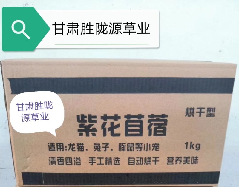 苜蓿草紫花苜蓿草批发加拿大进口种子培育苜蓿草蛋白高