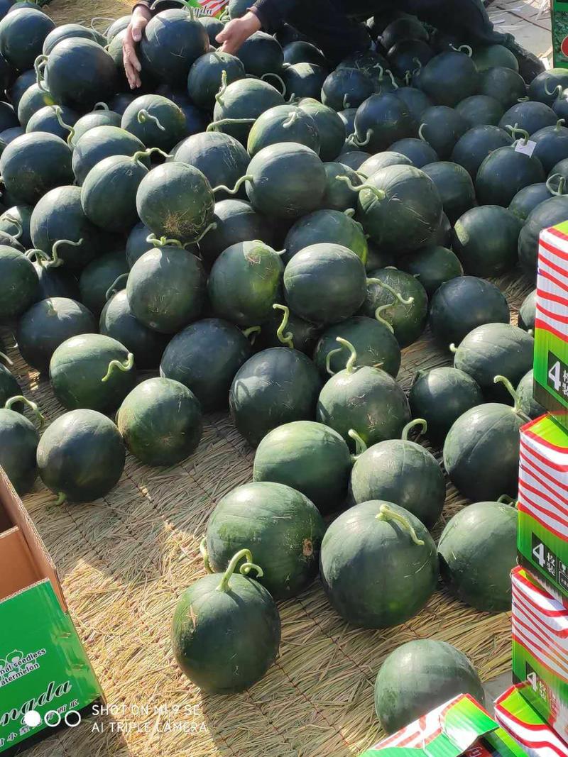 墨童西瓜，山东无籽西瓜，保熟保甜，大棚西瓜，产地直发。