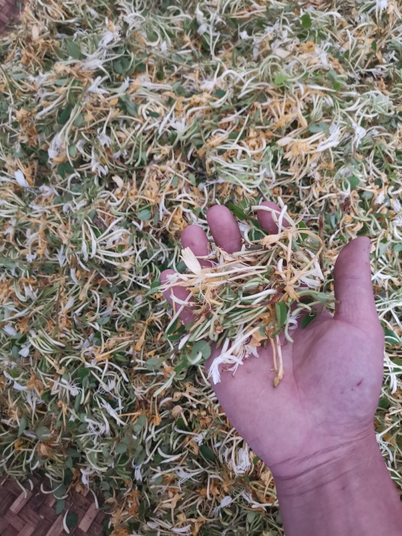 野生金银花农家日晒金银花