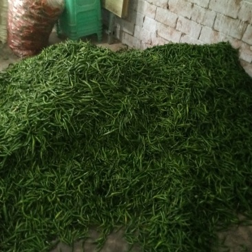 小米辣青椒