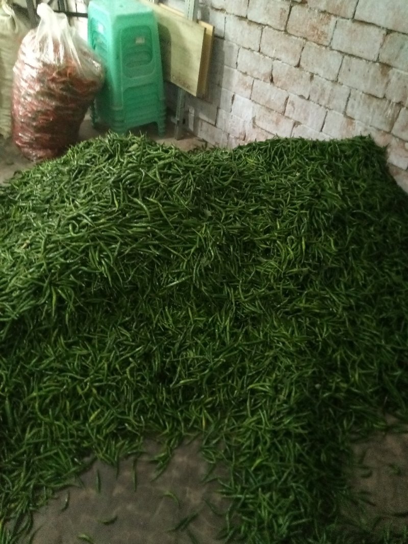 小米辣青椒
