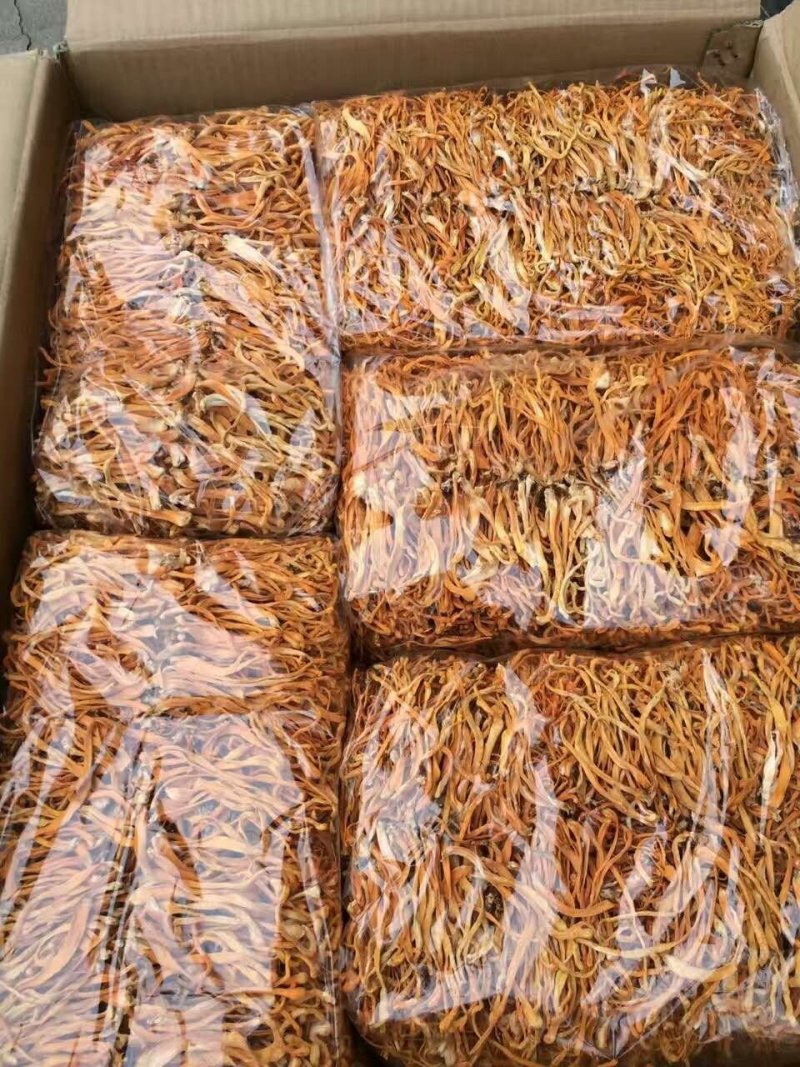 金虫草虫草花可炖汤煮水泡酒滋补一公斤一袋