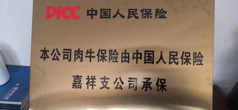 肉牛犊批发价格补助优惠提供技术支持质保可达三个月