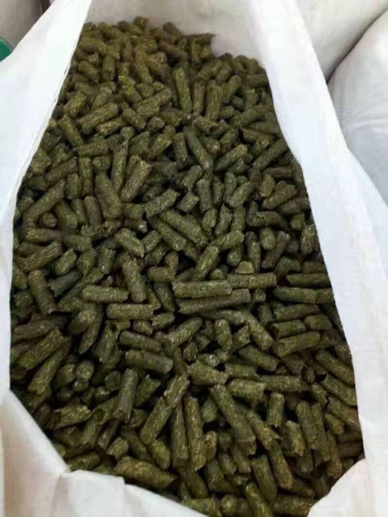 玉米全株草
