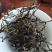 古树红茶，优选百年古树茶叶发酵，太阳干燥