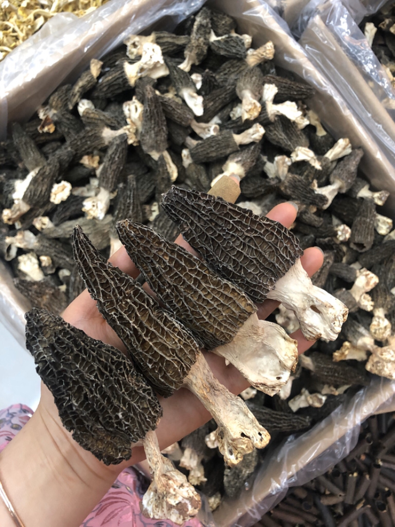 剪角羊肚菌好货肉厚味道浓厚鲜美250g