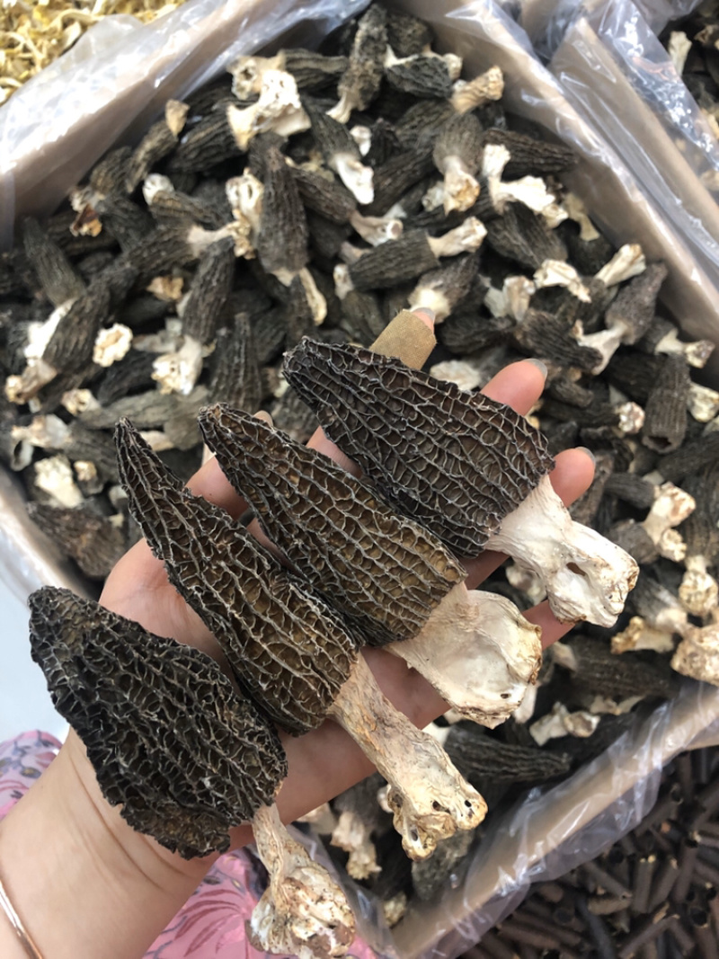 剪角羊肚菌好货肉厚味道浓厚鲜美250g