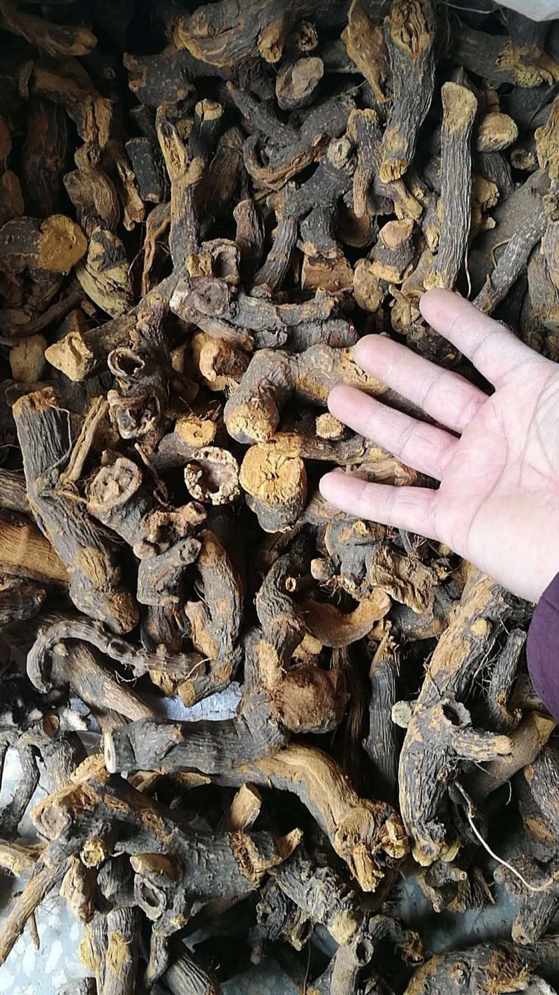 虎杖湖北道地药材虎杖片虎杖段产地直销，品质保证。