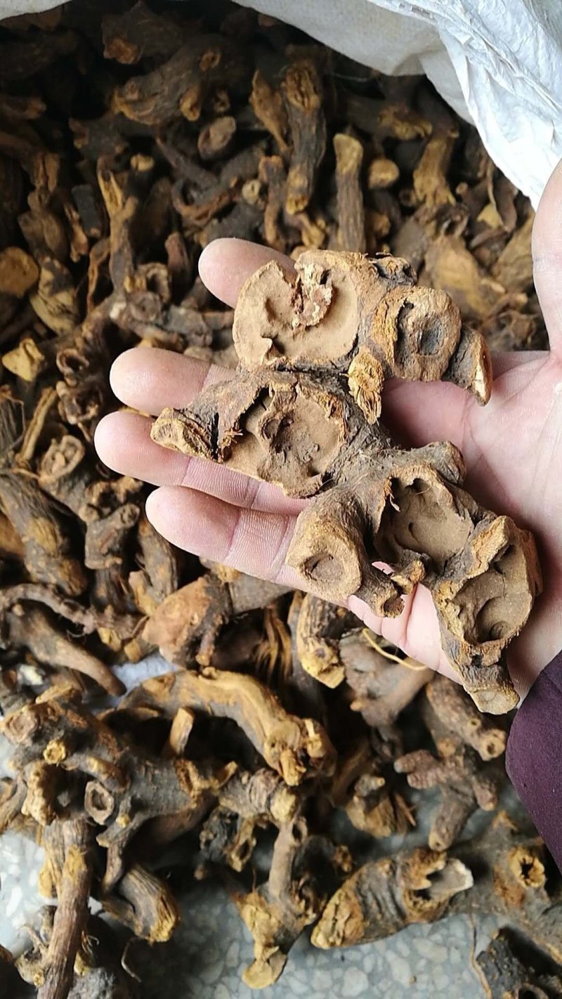 虎杖湖北道地药材虎杖片虎杖段产地直销，品质保证。