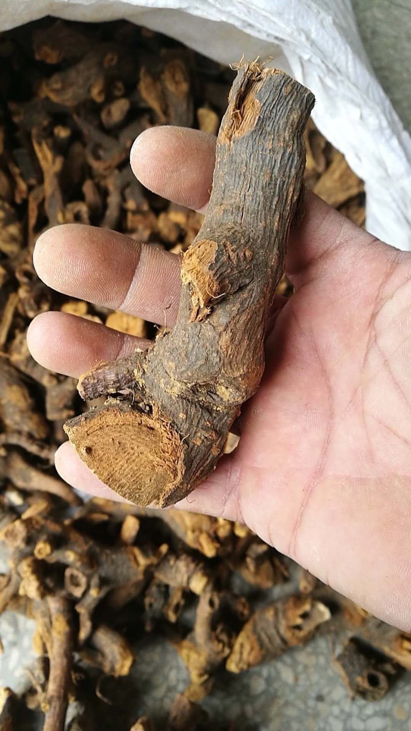 虎杖湖北道地药材虎杖片虎杖段产地直销，品质保证。