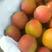 杏，丰元红杏，果个大，口感好，一手货源，欢迎客户连系
