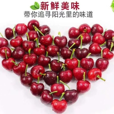 大樱桃