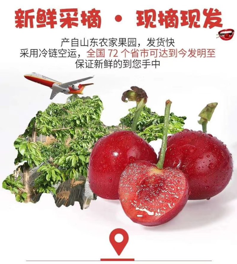 大樱桃