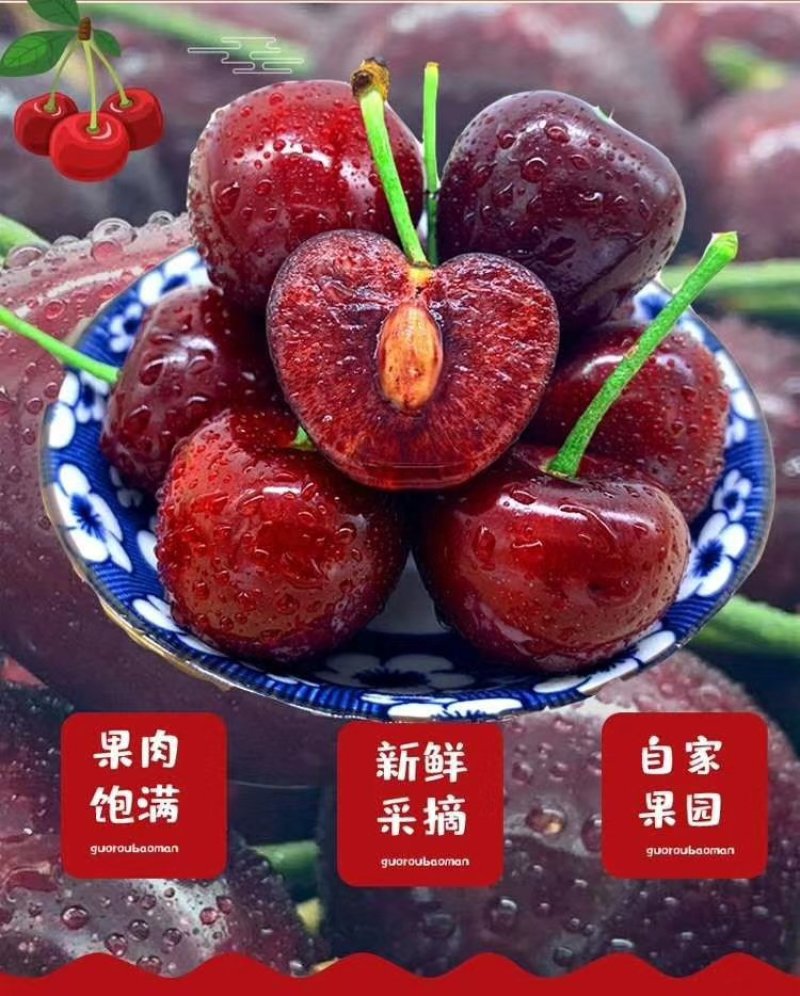 大樱桃