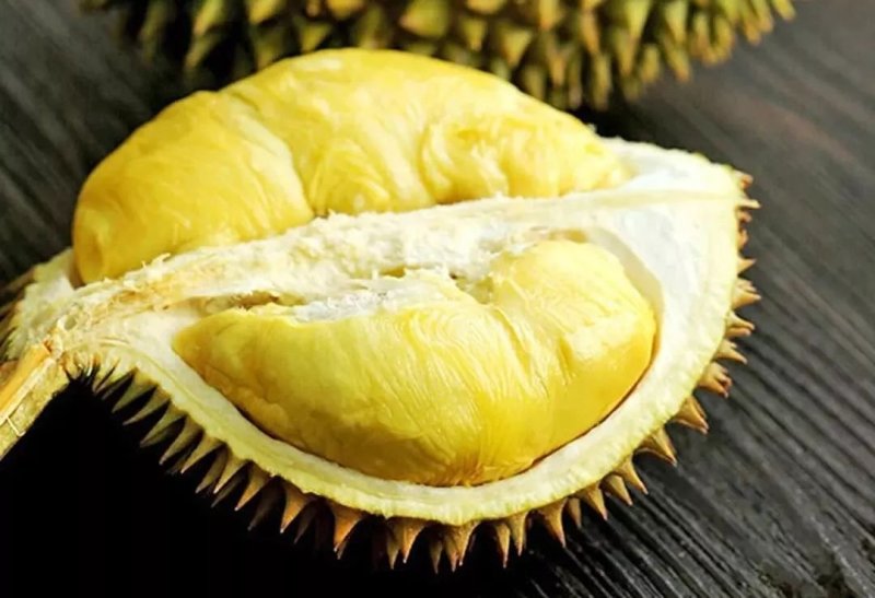 【正宗泰国金枕一件包邮】泰国金枕榴莲批发零售，量大可谈！
