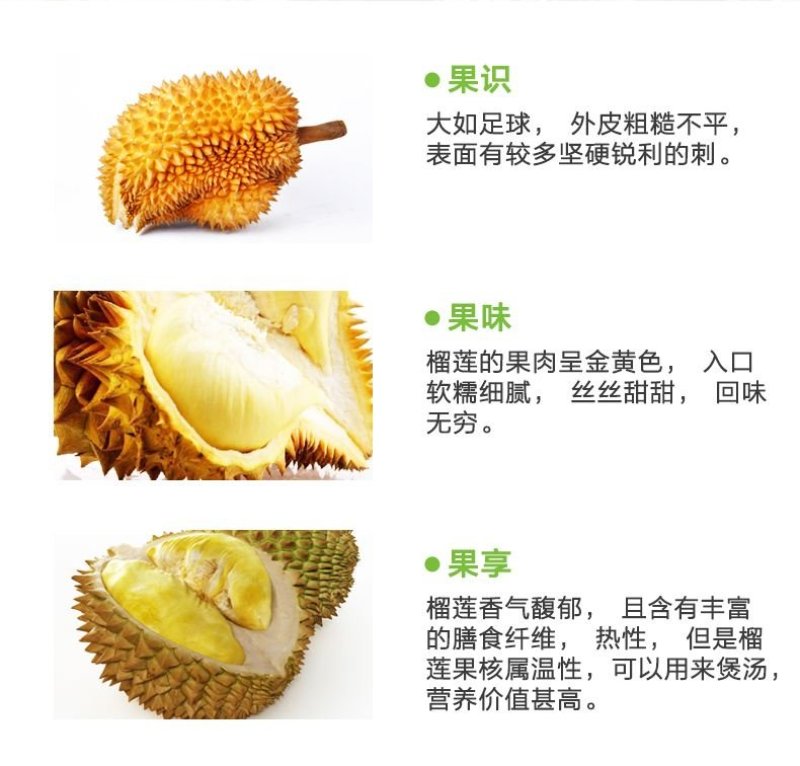【正宗泰国金枕一件包邮】泰国金枕榴莲批发零售，量大可谈！