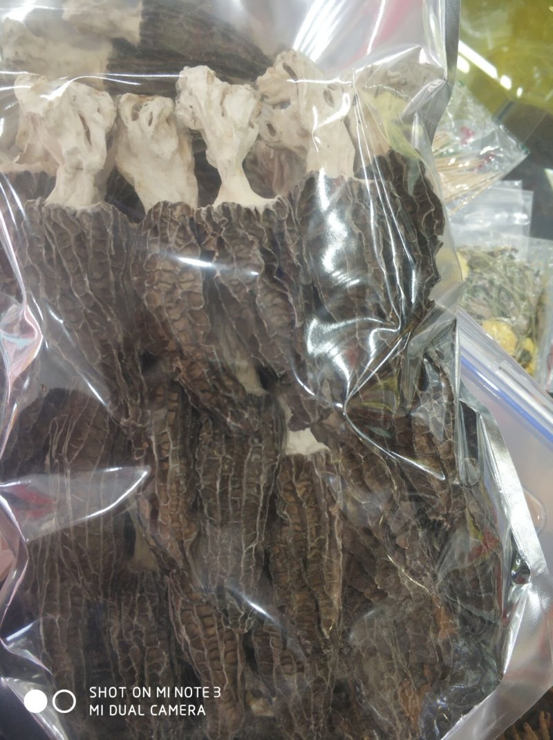 干羊肚菌