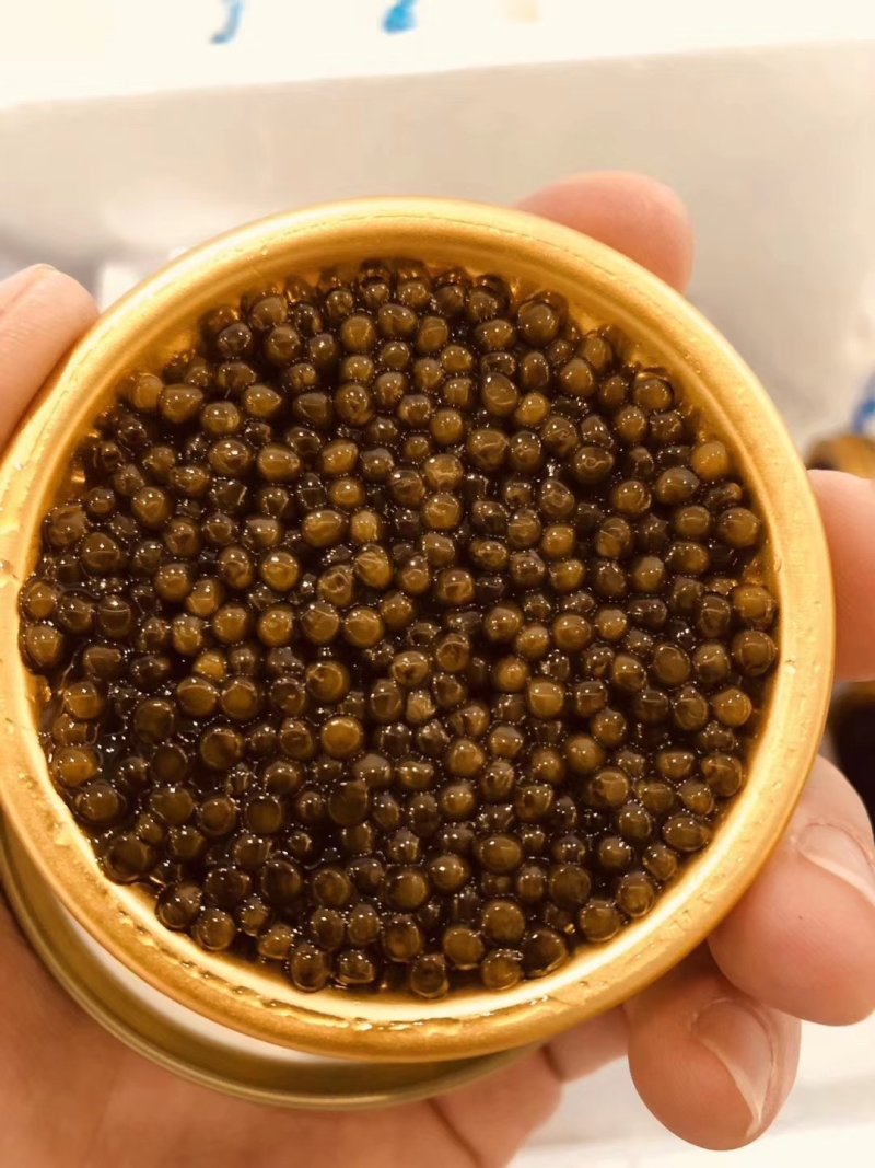 鱼子酱
