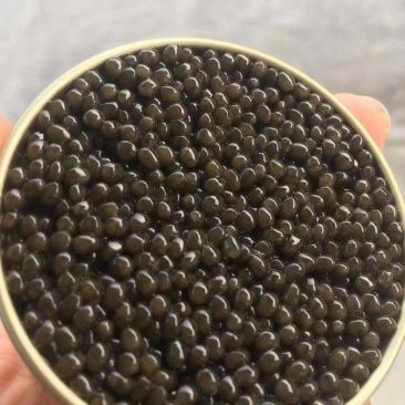 鱼子酱