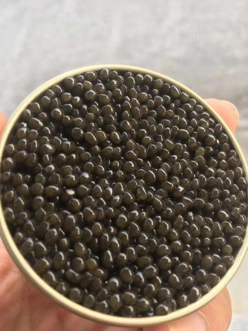 鱼子酱