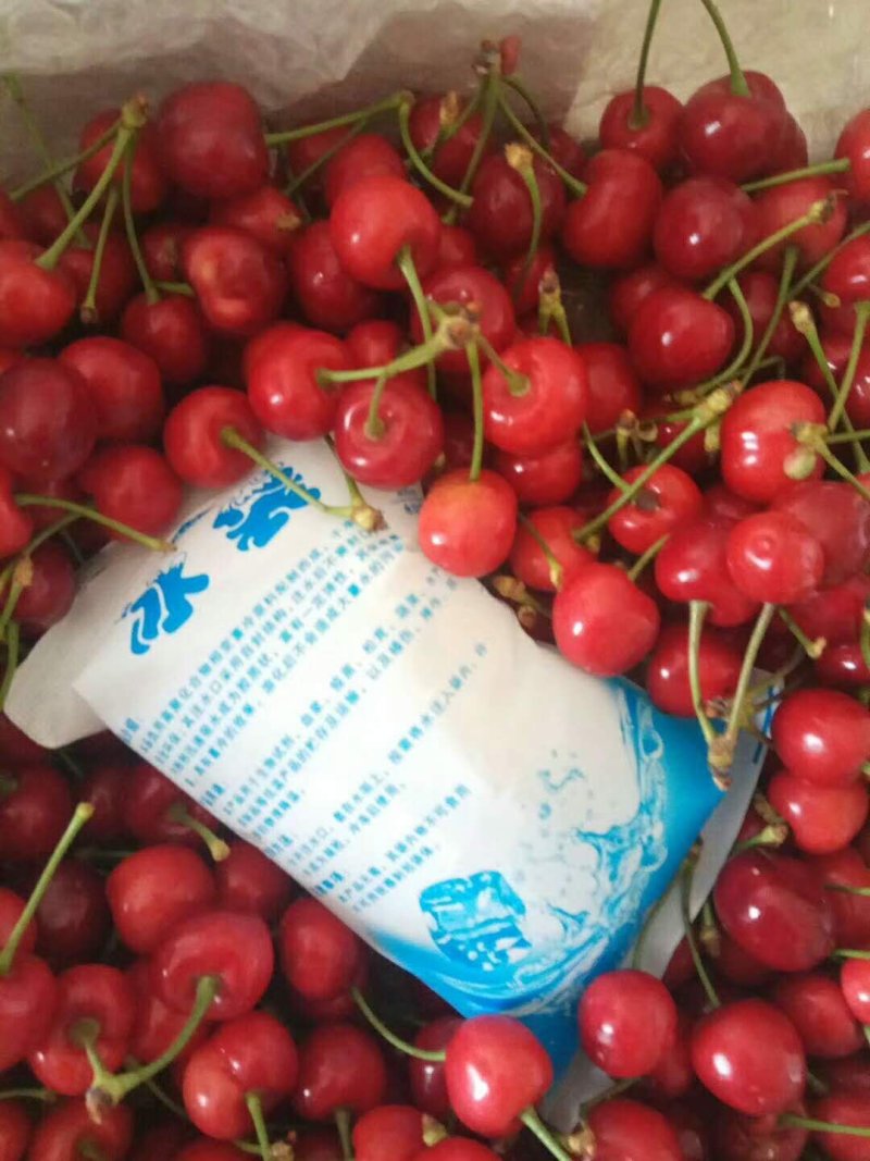 樱桃山东樱桃大量上市品种齐全红灯早大果车厘子美早优质精品