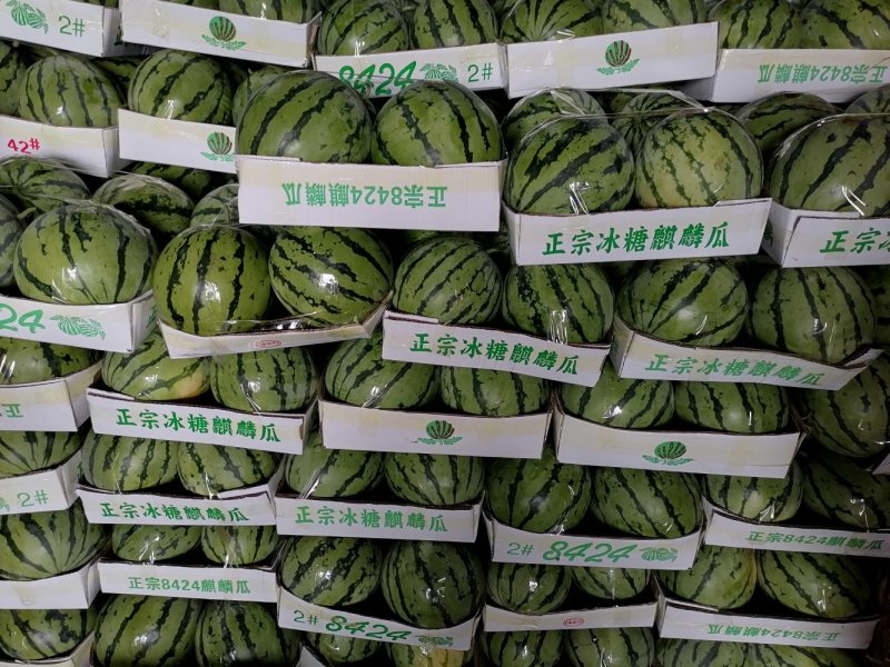 8424麒麟西瓜，代收代发代返程便宜车辆