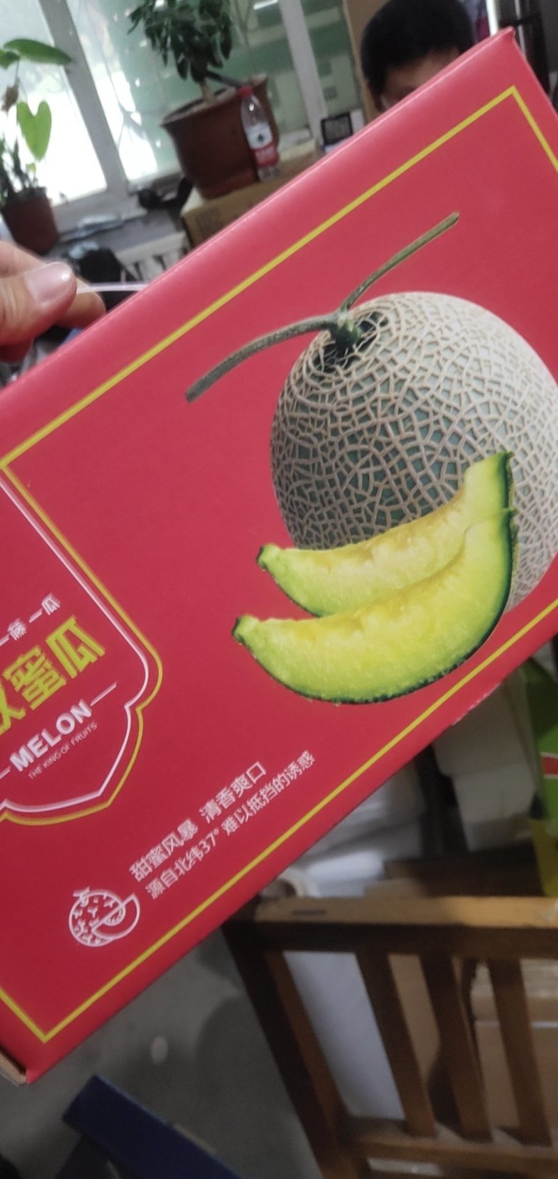 海阳网纹瓜，玫珑网纹蜜瓜。哈密瓜，鲁厚甜1号口感软糯香甜