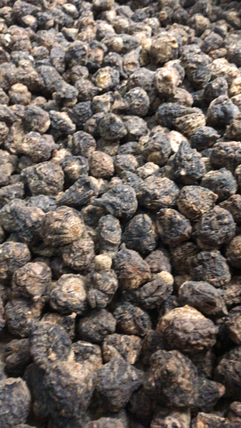 玛咖，丽一手货源产地直销
